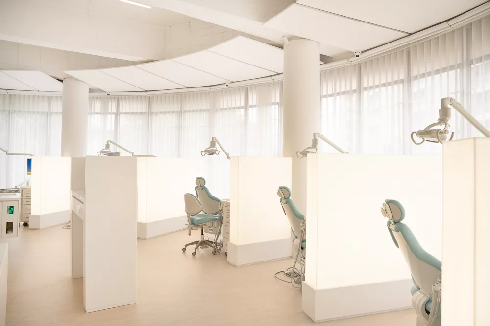 Open-plan treatment area at Milk Orthodontics with softly lit partitions and sheer curtains